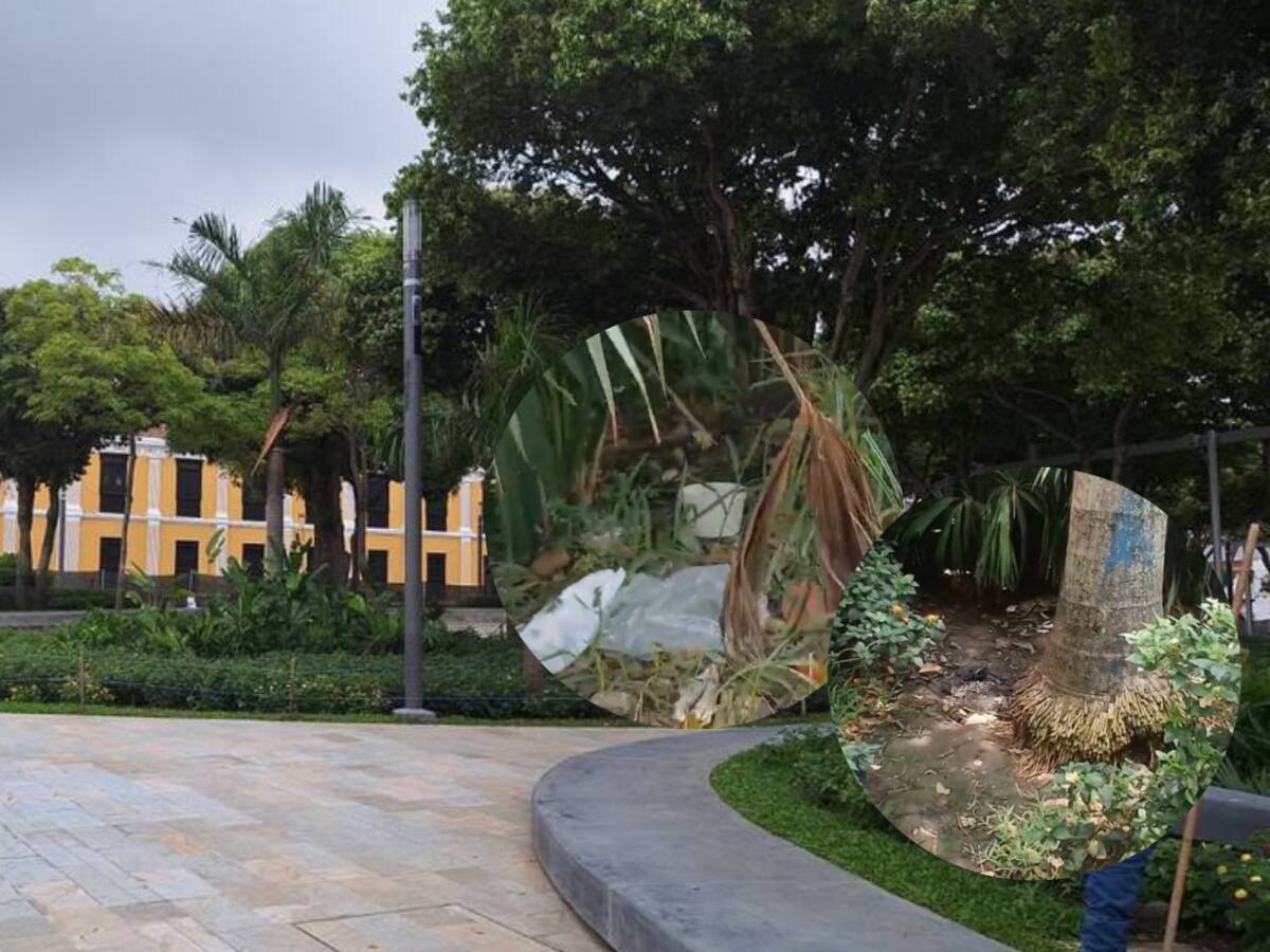 Parque Centenario de Bucaramanga, convertido en “letrina pública” por falta de baños públicos