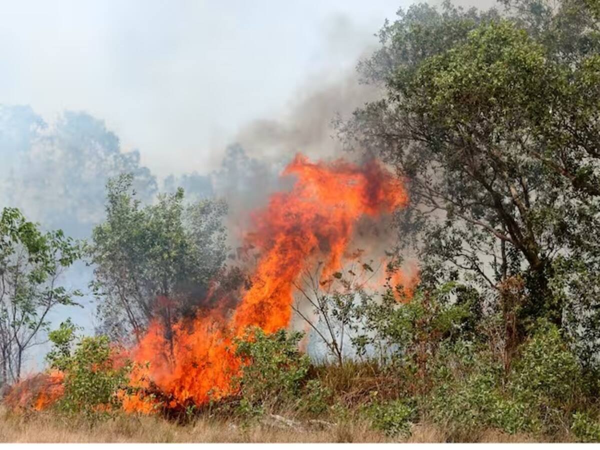 Se registraron incendios forestales en el norte y occidente de Caldas