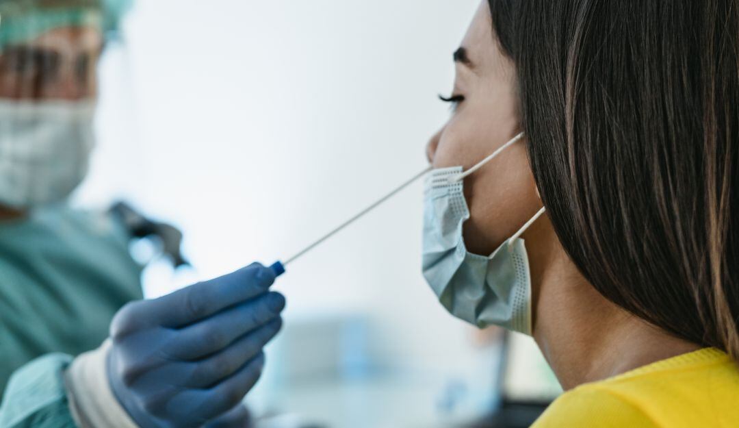 Imagen de referencia