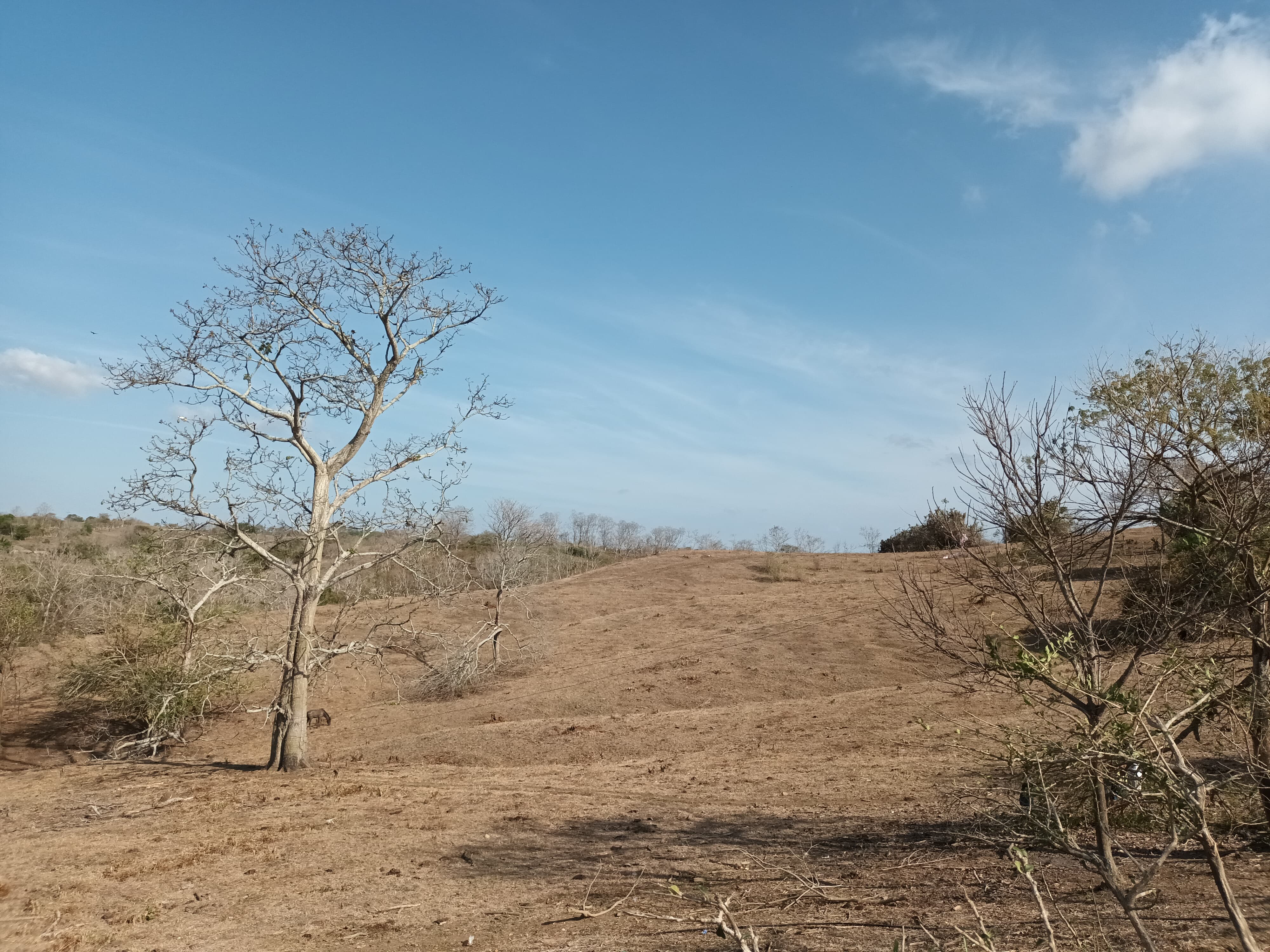Diez municipios de Córdoba están en máxima alerta por sequía. Foto: Caracol Radio/Claudia Hernández (referencia). 