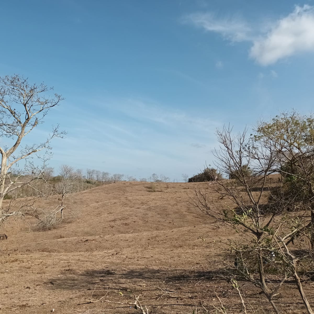 Activan medidas de preparación ante la llegada del fenómeno de El Niño al departamento de Córdoba