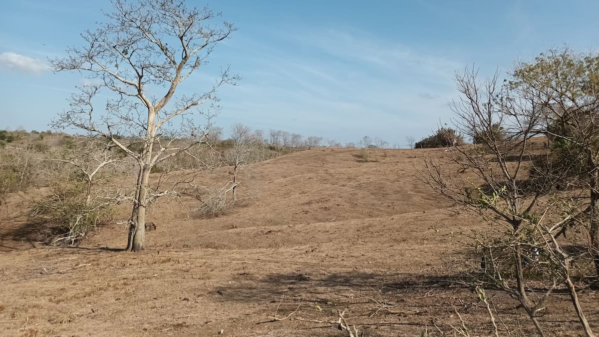 Este es el ‘ranking’ de municipios en máxima alerta ante un posible periodo seco en Córdoba