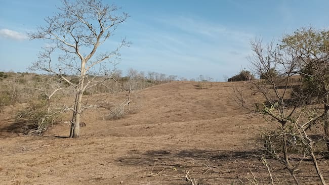 Sequía en zona rural de Puerto Escondido, Córdoba. Foto: La W/Claudia Hernández.
