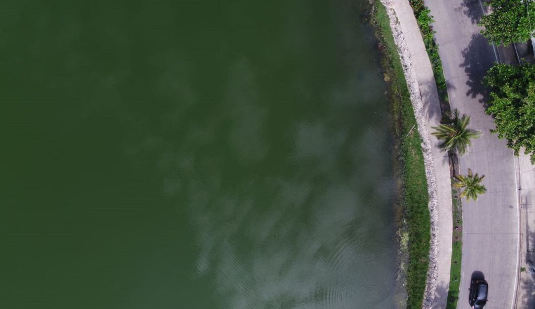 El Establecimiento Público Ambiental procederá a verificar y hacer la desinstalación de las tuberías que descargan en este cuerpo de agua