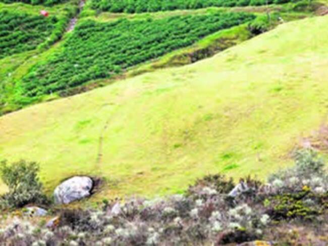 Foto: Eltiempo.com