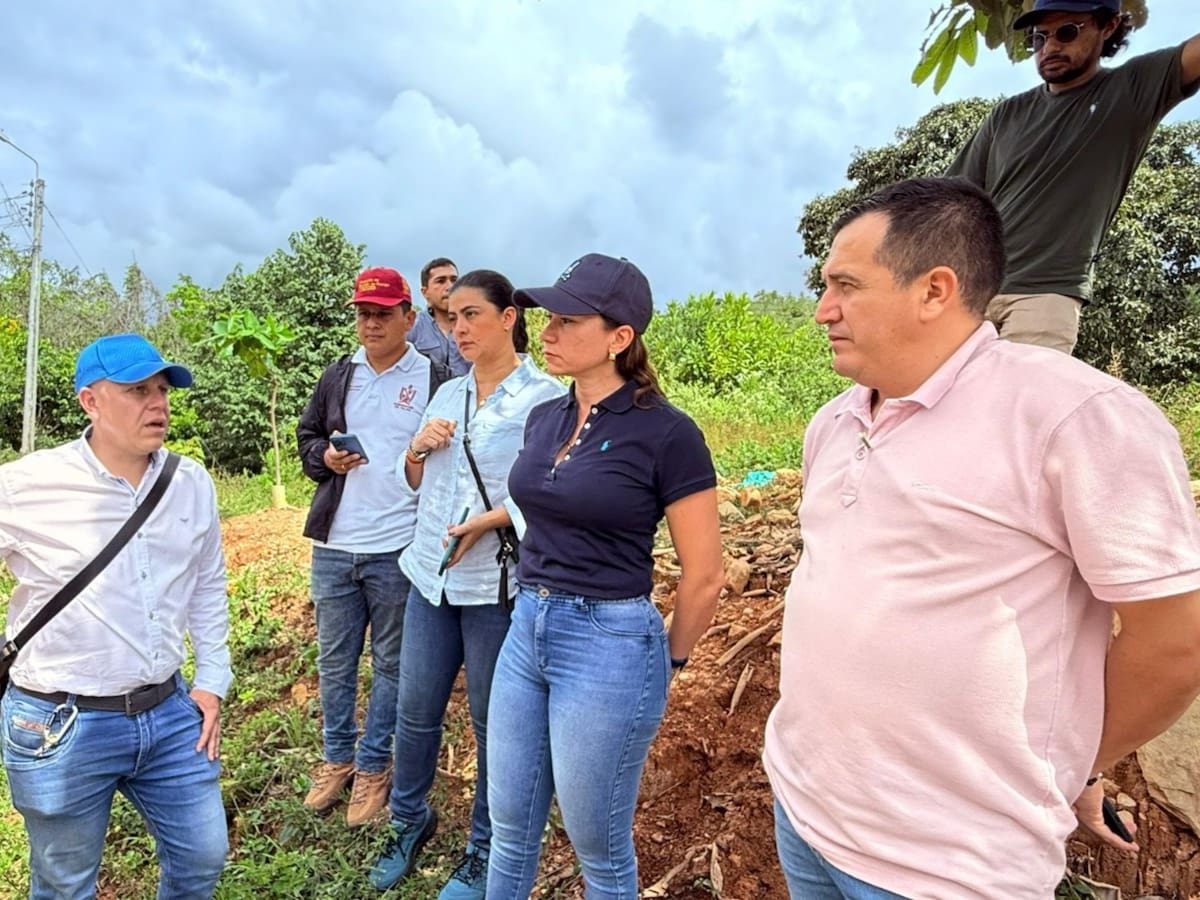 Inició el proceso para reubicar 60 familias damnificadas por falla geológica en Villarrica, Tolima