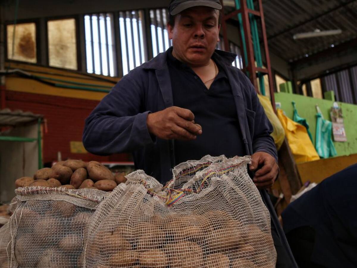 Papa, fríjol, arveja y algunas frutas suben de precios