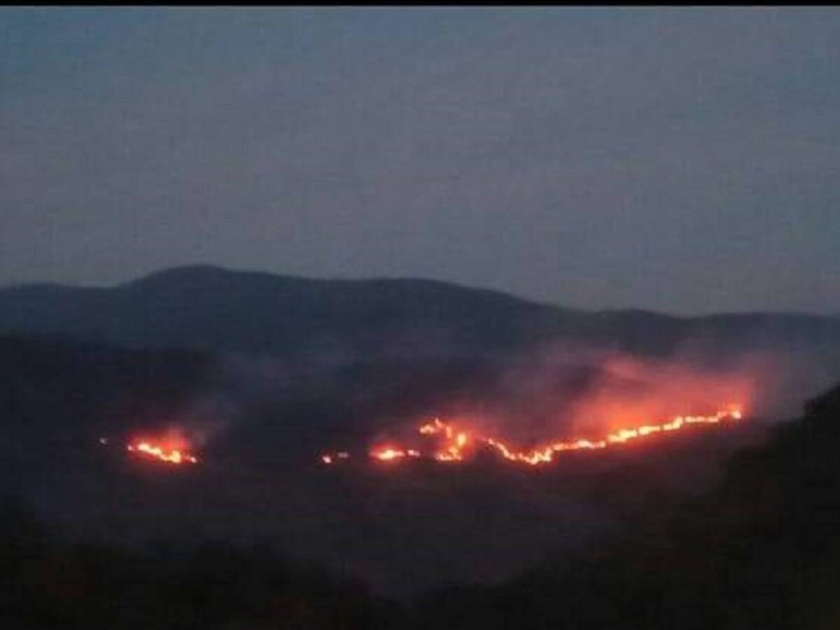 En alerta 6 departamentos el país por emergencias de incendios forestales