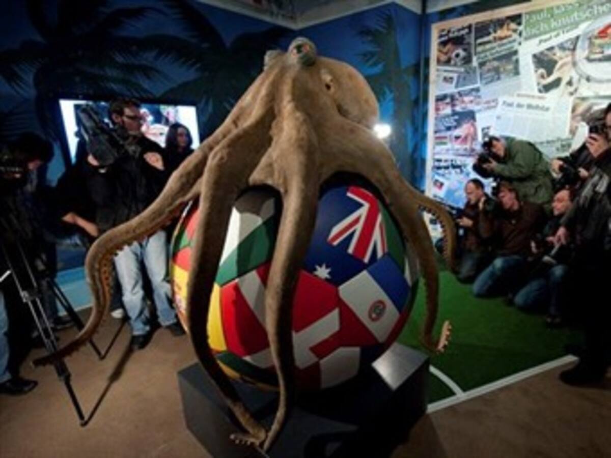 Inauguran monumento al pulpo Paul en Alemania