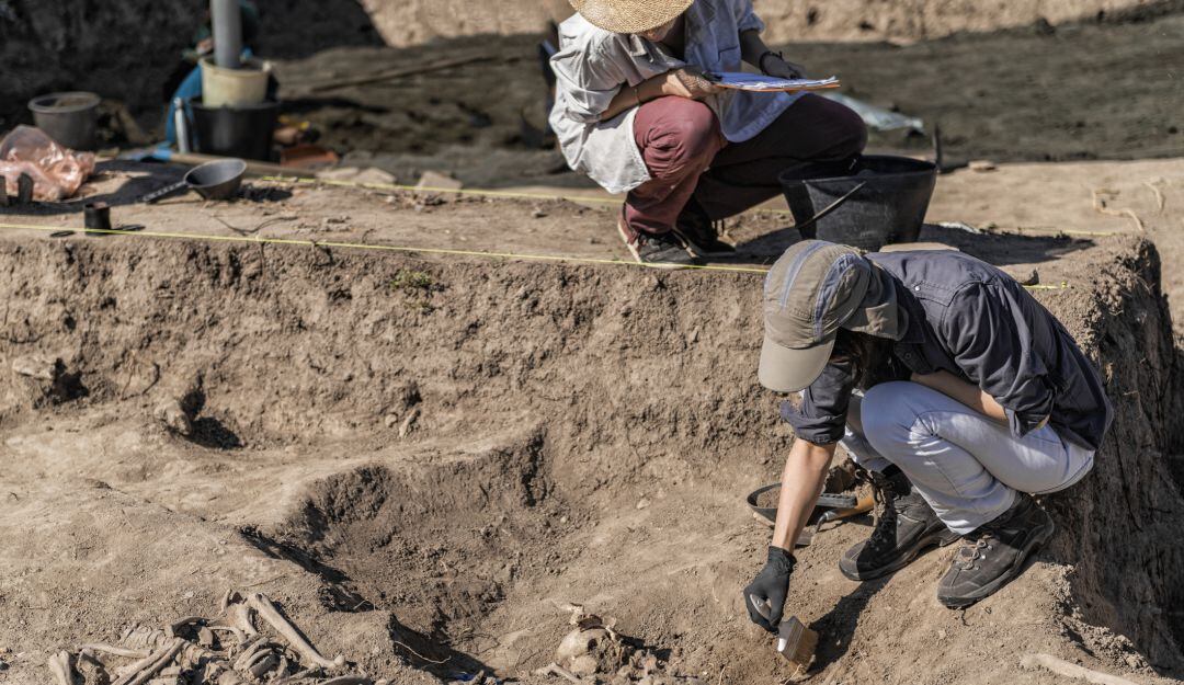 Imagen de referencia