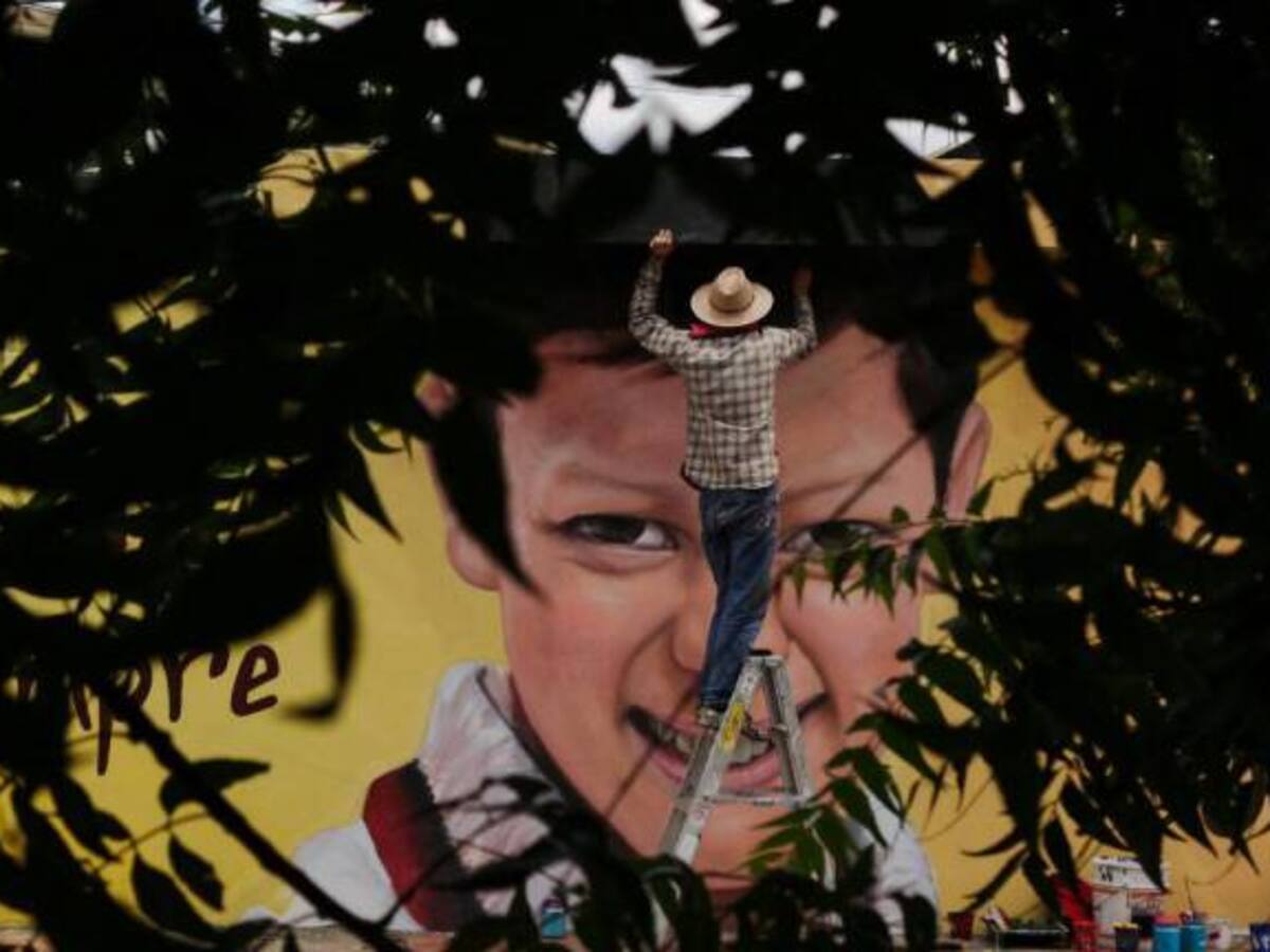 Valledupar ya cuenta con un muro que purifica el aire