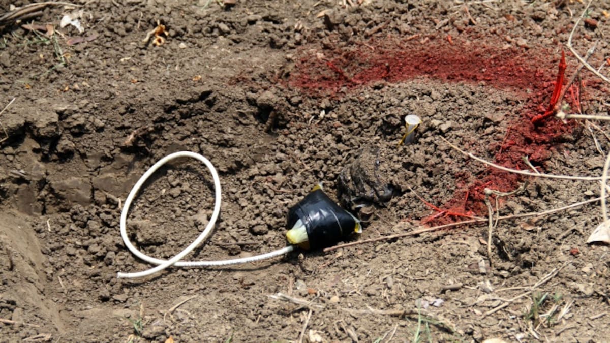 Alias Bejuco es quien estaría sembrando minas antipersona en Segovia