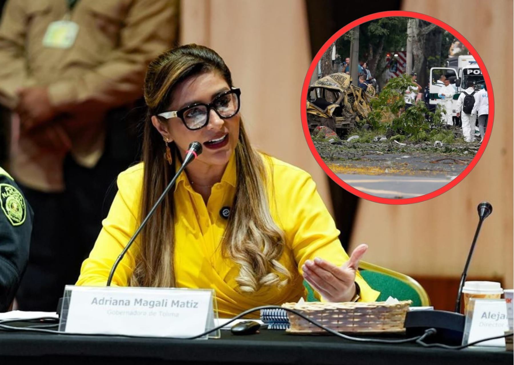 Adriana Magali Matiz