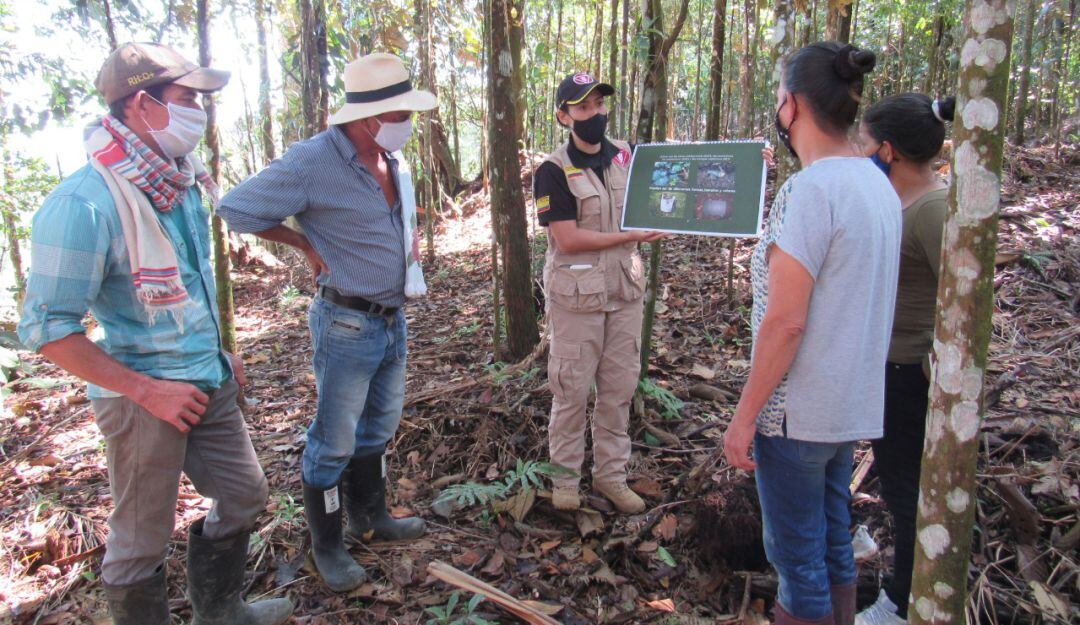 Retoman labores de desminado en Caldas.