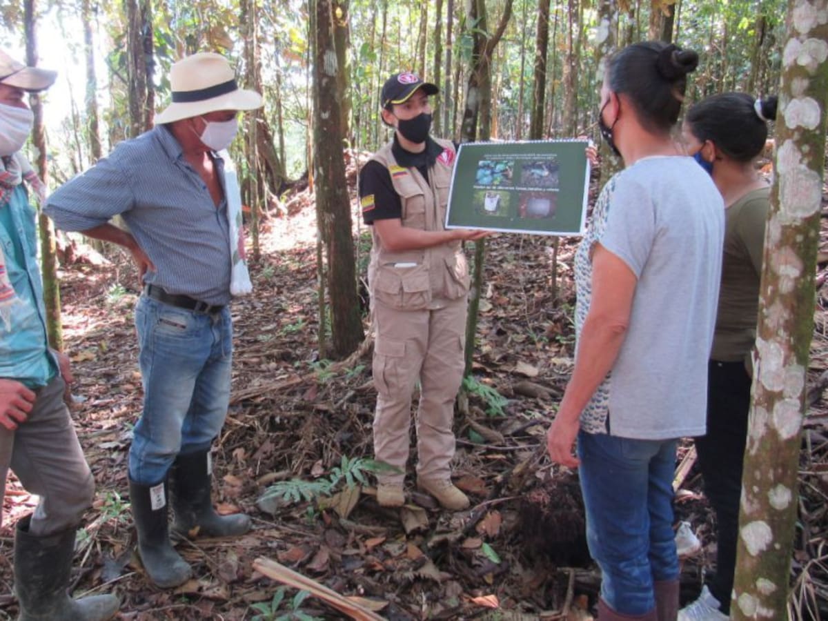 En Caldas retoman las labores de desminado humanitario