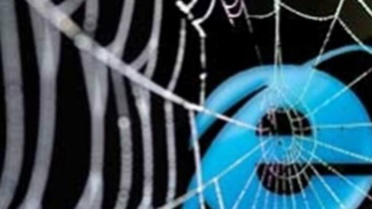 Servicios de Google dejarán de funcionar en Internet Explorer 6