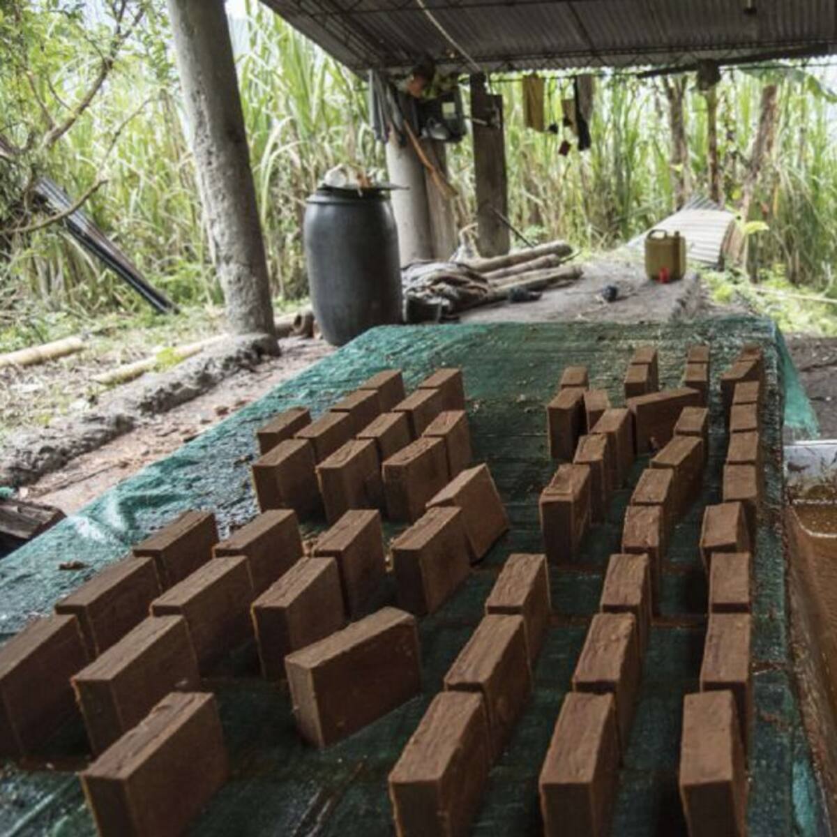 Paneleros huilenses celebran negativa de la SIC de patentar el endulzante