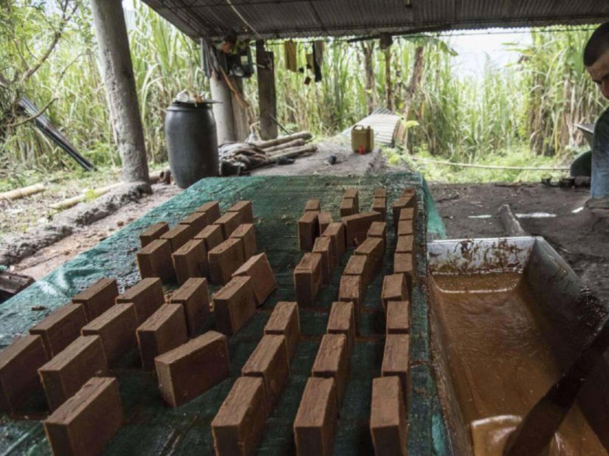 Paneleros huilenses celebran negativa de la SIC de patentar el endulzante