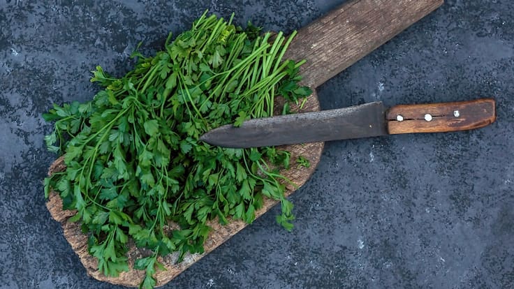 Trucos para alargar el tiempo de conservación del cilantro (Getty Images)