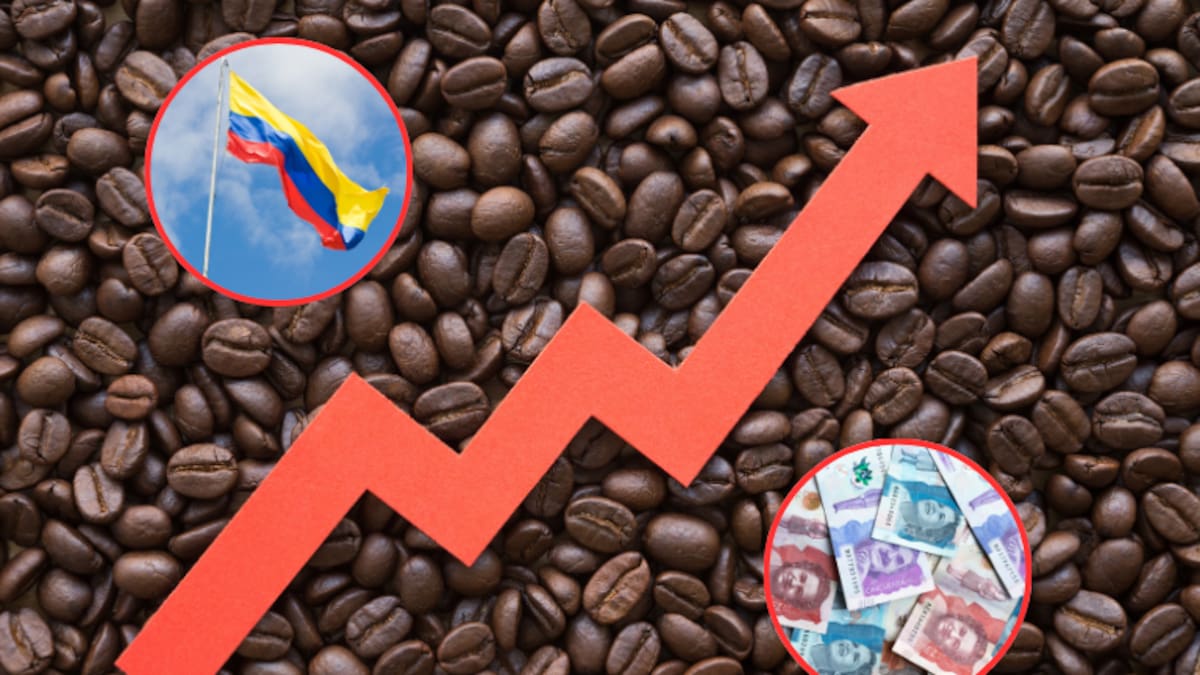 Precio café hoy 24 de junio en Colombia: análisis de por qué está subiendo el valor del kilo