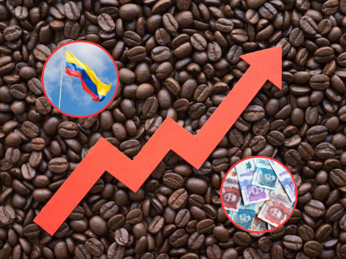 Precio café hoy 24 de junio en Colombia: análisis de por qué está subiendo el valor del kilo