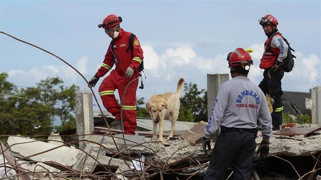Cuatro colombianos de una misma familia fallecieron en el terremoto presentado en Ecuador. Foto: Colprensa.