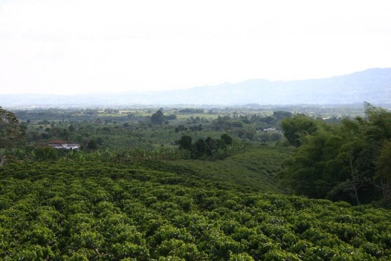 Imagen suministrada - Rutas del Paisaje Cultural Cafetero.