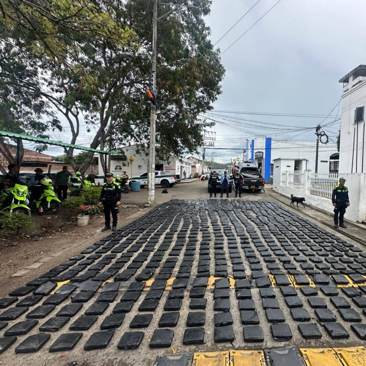 Policía incauta 7,5 toneladas de marihuana y captura a un hombre en Paicol, Huila