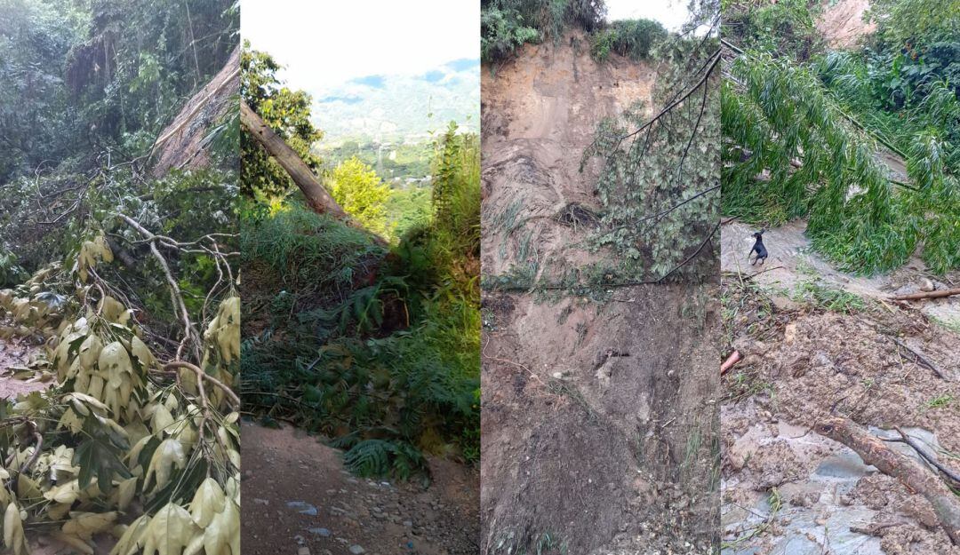 LLuvias y afectaciones en Ibagué 