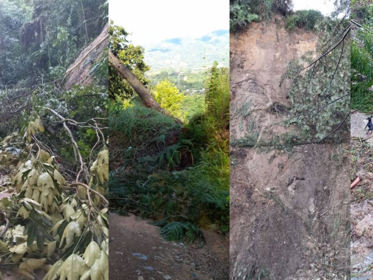 Más de 200 familias de la zona rural de Ibagué están incomunicadas