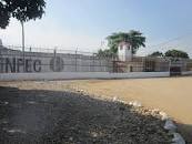 Deberían de purgar la pena en sus viviendas.