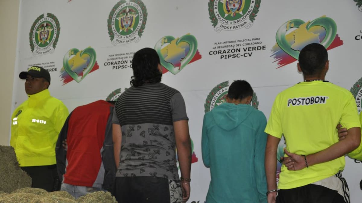 La mayoría de capturados por delitos están quedando en libertad en Quindío