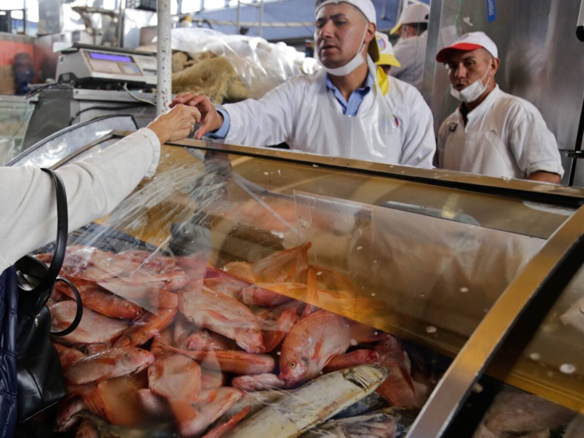 Llega la cuaresma y el pescado está a buen precio