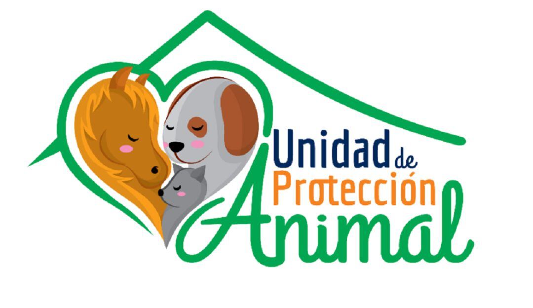 Adopción animal