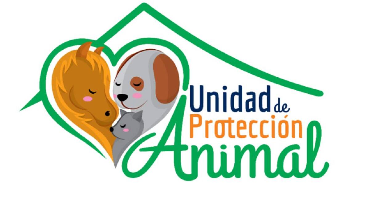 ¿Qué debo hacer si quiero adoptar una mascota en Manizales?