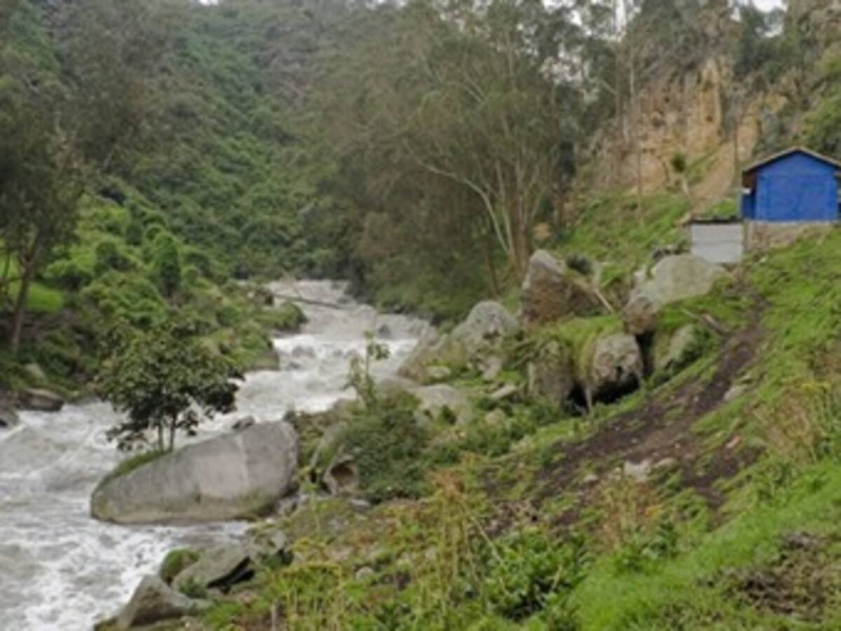 Estudio universitario alerta presencia de “plaguicidas prohibidos” en río Bogotá