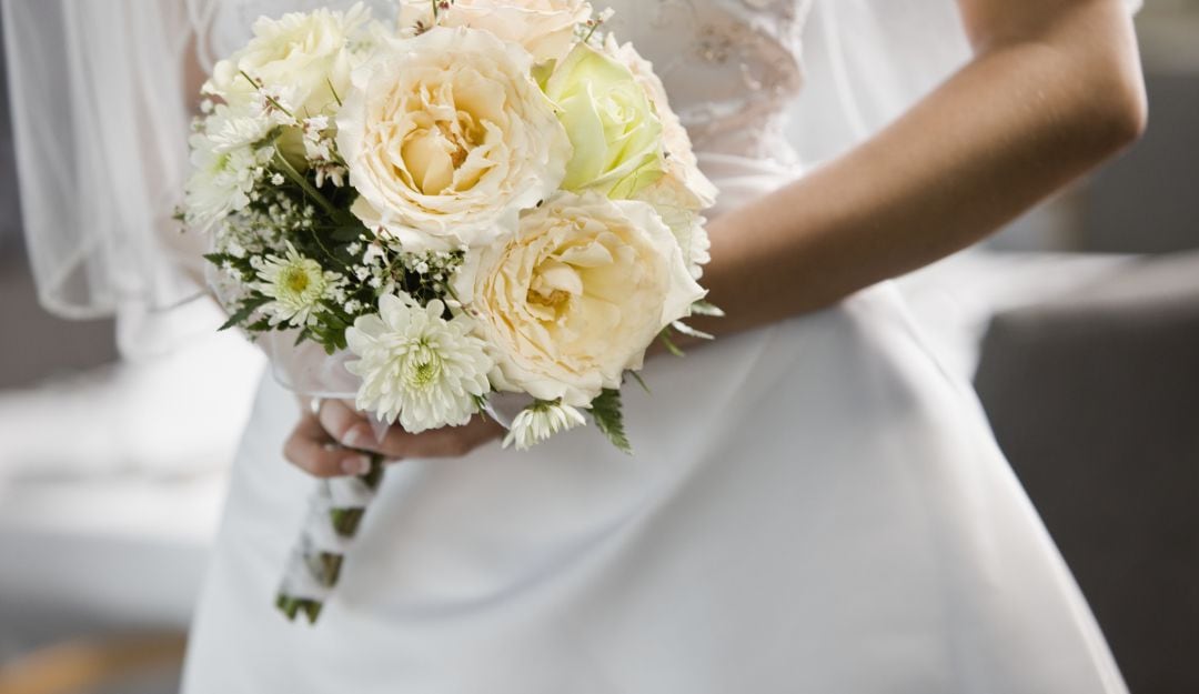 Imagen de referencia