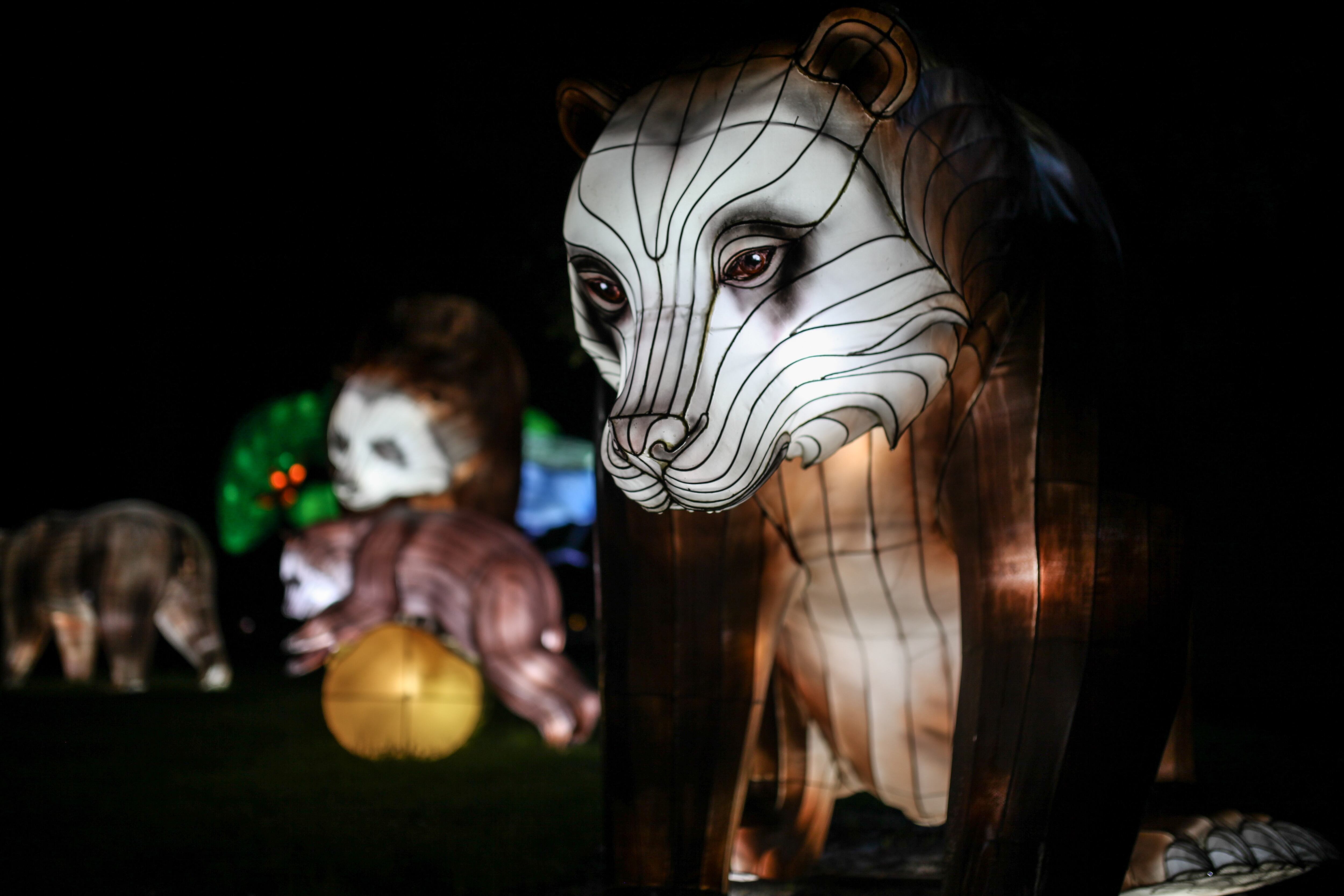 Jardín Botánico de Bogotá. (Foto de Juancho Torres/Agencia Anadolu vía Getty Images)