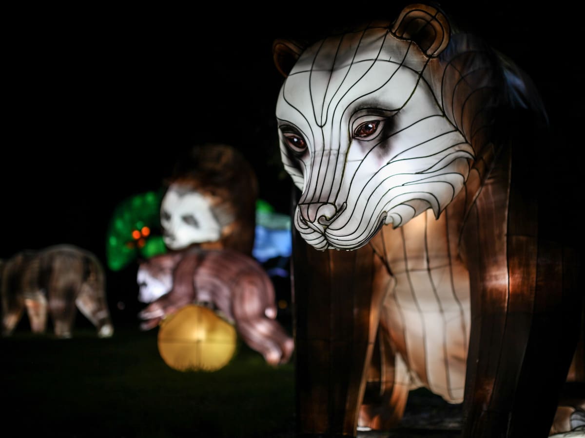 Festival de luces MajestuOSOS en Bogotá abrió sus puertas: horarios y recorrido