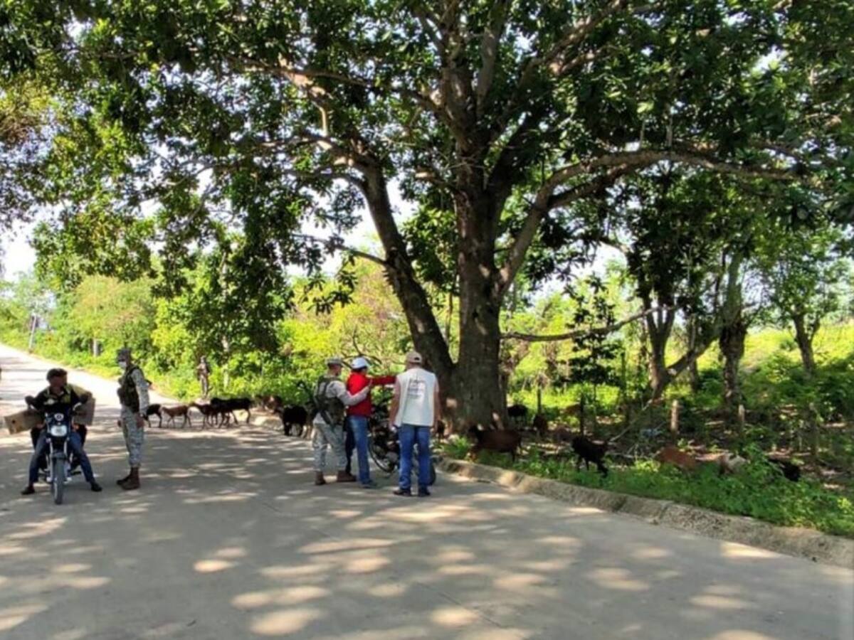 Disparos en Chalán serían con armas de largo alcance: alcaldesa