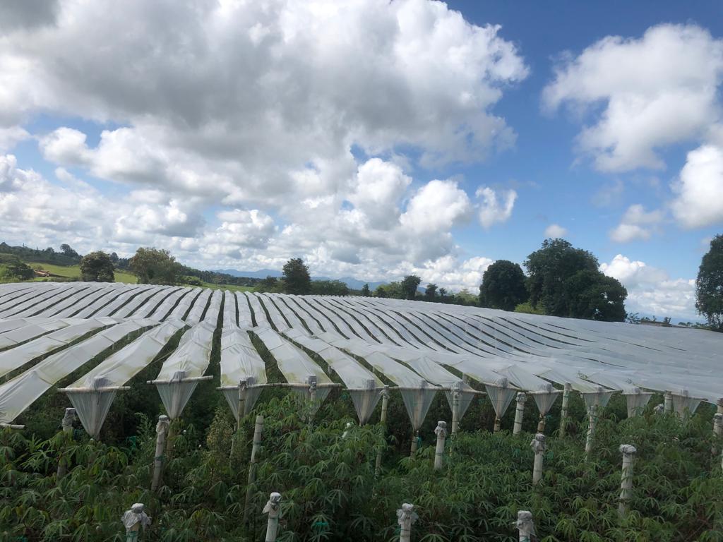 Foto: Suministrada para Caracol Radio