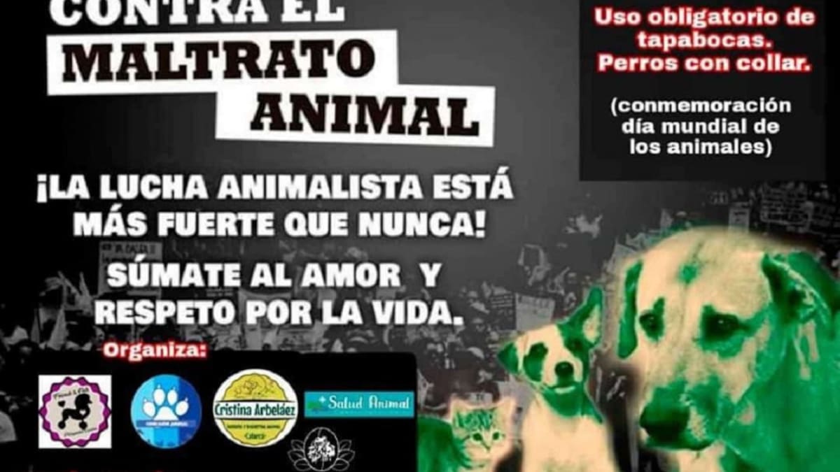 Cristina Arbeláez, concejal animalista Calarcá, Quindío