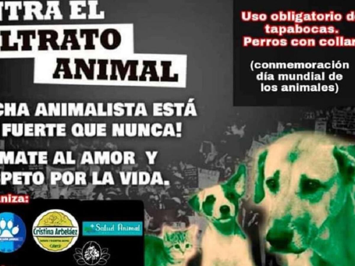 Marcha contra el maltrato animal en Calarcá, Quindío
