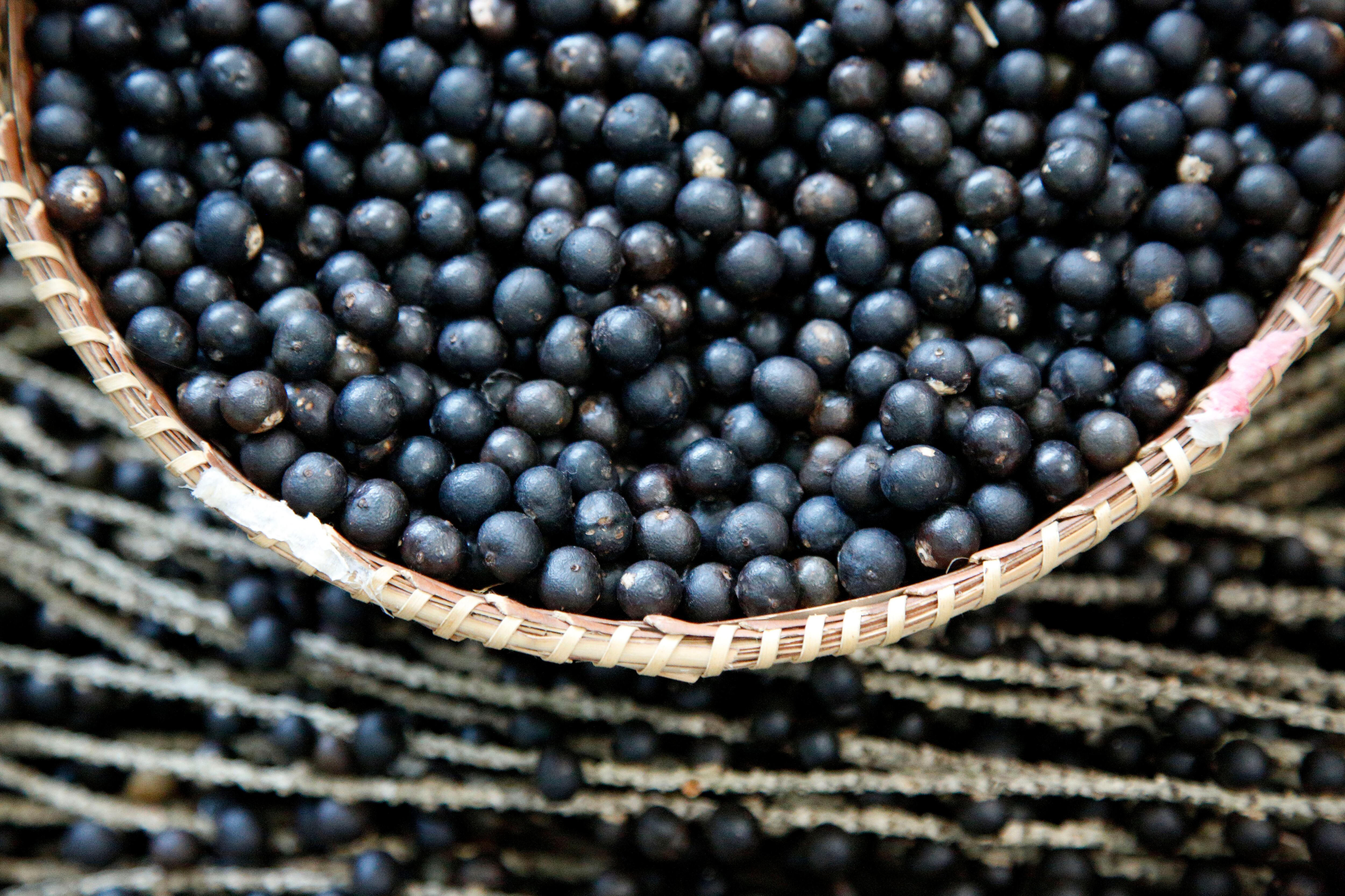 Fruto asaí o açaí (Foto: Getty Images)