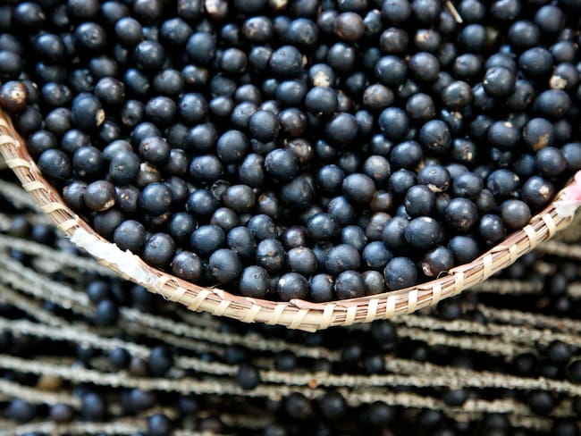 Fruto asaí o açaí (Foto: Getty Images)