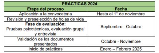 Cronograma del proceso - Imágen Ecopetrol (2024)