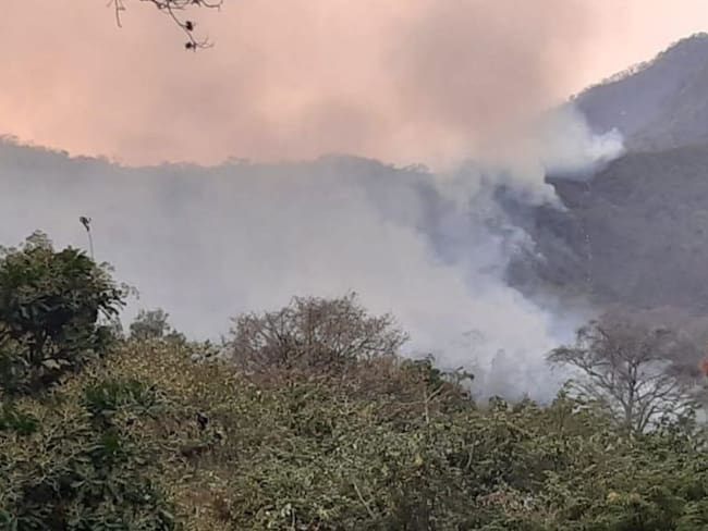El incendio en la Sierra Nevada es provocado
