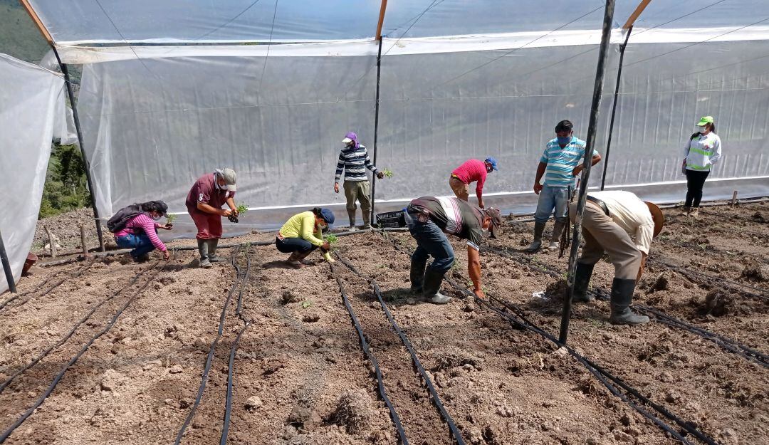 Granja demostrativa en Santander
