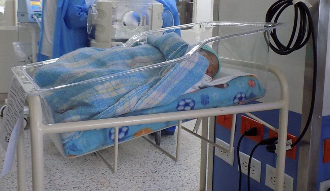 Imagen de referencia