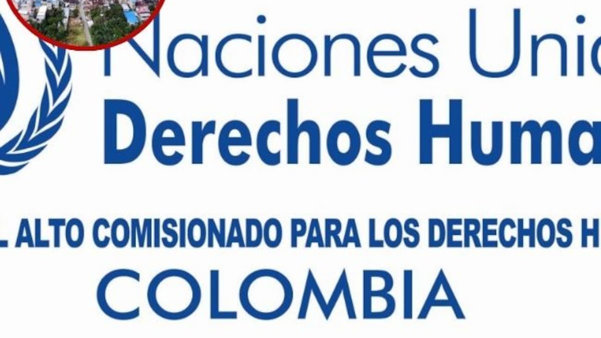 ONU pide a Colombia localizar a cuatro menores en Nariño